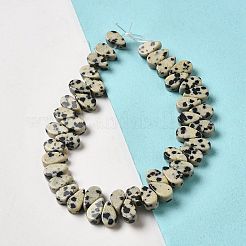 天然石ダルメシアンジャスパービーズ連売り  ティアドロップ  トップ掘削  9~10x5~5.5x3.5~4mm  穴：0.7mm  約40~48個/連  7.09~7.28''（18~18.5cm）。&nbsp;G-B064-B11