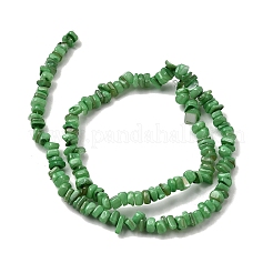 Natural Freshwater Shell Beads&nbsp;SHEL-B003-01E
