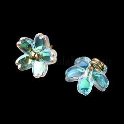 Alloy Acrylic Pendants&nbsp;TACR-P016-01G-09