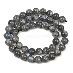 天然石ラブラドライトビーズ連売り  ラウンド  8mm  穴：1mm  約54個/連  15.7インチ（40cm）&nbsp;G-P336-19-8mm-01