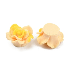 Smudged Color Frosted Resin Cabochons&nbsp;RESI-TAC0018-13F