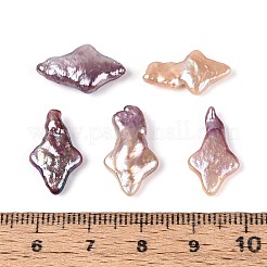 天然バロックケシパールビーズ  有核真珠  スター  トップ掘削  アザミ  12.5~18.5x7.5~13x3~7.5mm  穴：0.6mm&nbsp;PEAR-S022-02C