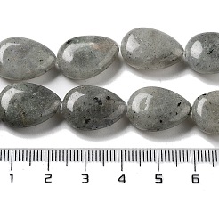 天然石ラブラドライトビーズ連売り  フラットティアドロップ  17.5~18x13~13.5x6mm  穴：1.2~1.4mm  約11個/連  7.56''（19.2センチメートル）&nbsp;G-P528-L03-01