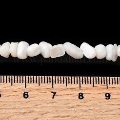 天然淡水シェルビーズ連売り  ナゲット  貝殻色  3.5~6.5x4~6.5x3.5~8mm  穴：1mm  14.65~14.96''（37.2~38センチメートル）&nbsp;SHEL-B003-04