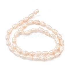 Natural Cultured Freshwater Pearl Beads Strands&nbsp;PEAR-D003-01D-16