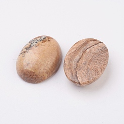 Natural Picture Jasper Flat Back Cabochons&nbsp;G-G741-22x30mm-07