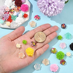50Pcs 5 Styles Resin Cabochons&nbsp;CRES-YW0002-40