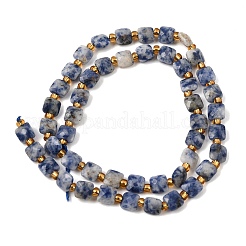 Natural Blue Spot Jasper Beads Strands&nbsp;GG-CBA96AE-A09-6x6mm