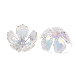 Transparent Acrylic Caps&nbsp;MACR-K358-08E