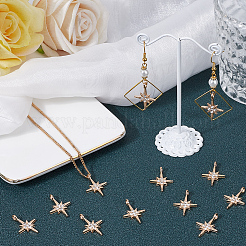 30Pcs Alloy Rhinestone Pendants&nbsp;FIND-SC0011-04
