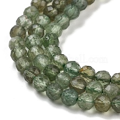 Natural Green Apatite Beads Strands&nbsp;X-G-G105-A01-03