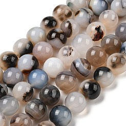Natural Dendritic Agate Beads Strands&nbsp;G-A248-A07-06