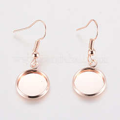 Iron Earring Hooks&nbsp;EJEW-WH0004-07RG