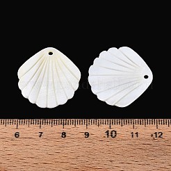 彫刻された天然淡水貝のペンダント  貝殻の形のチャーム  貝殻色  28x28x2mm  穴：1.8mm&nbsp;SHEL-T020-62B