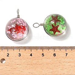 クリアガラスペンダント  ドライフラワーの動物が入っています  半円  ミックスカラー  28.5x20x15.5mm  穴：4mm&nbsp;GLAA-M048-02