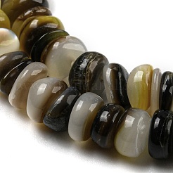 Natural Black Lip Shell Beads Strands&nbsp;BSHE-Z005-06