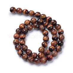 Natural Dyed & Heated Red Tiger Eye Bead Strands&nbsp;G-R411-14-8mm