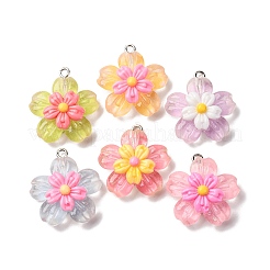 透明樹脂ペンダント  花  プラチナ鉄ループ付き  ツートン  ミックスカラー  25~26.5x24x8.5~9mm  穴：2mm&nbsp;RESI-A046-05A