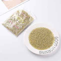 Round Glass Seed Beads&nbsp;SEED-A007-3mm-162