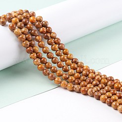 Natural Maifanite/Maifan Stone Beads Strands&nbsp;G-P451-01B-C