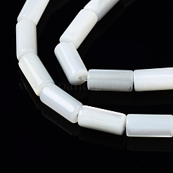 Natural Trochid Shell/Trochus Shell Beads Strands&nbsp;SSHEL-S266-020A-04