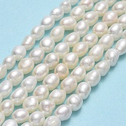 天然養殖淡水パールビーズ連売り  研磨両側  リネン  5~5.5x3.8~4.2mm  穴：0.6mm  約67~68個/連  14.57''（37センチメートル）&nbsp;PEAR-J006-11A-01
