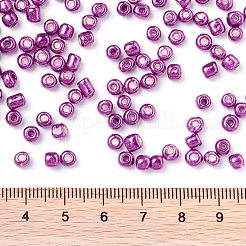6/0 Glass Seed Beads&nbsp;X-SEED-A017-4mm-1116