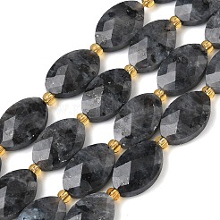 Natural Larvikite Beads Strands&nbsp;G-A295-A03-01