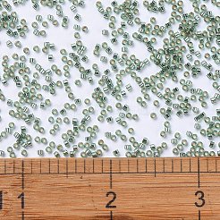 MIYUKI Delica Beads&nbsp;SEED-J020-DB2165