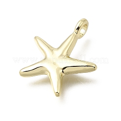 合金ペンダント  ヒトデ型のチャーム  ゴールドカラー  24.5x21x4mm  穴：3.3mm&nbsp;PALLOY-B016-02G