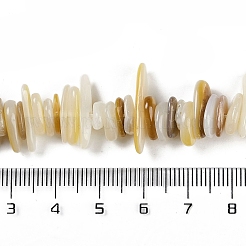 天然ニシキウズガイシェルビーズ連売り  チップ  淡黄色  7~19x4~8.5x1~3mm  穴：0.7mm  13.39~14.96''（34~38センチメートル）&nbsp;BSHE-H109-08