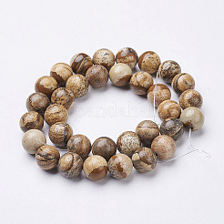 Natural Gemstone Beads Strands&nbsp;X-GSR12mmC016