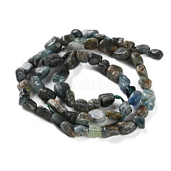 Natural Green Kyanite Beads Strands&nbsp;G-P497-01C-56