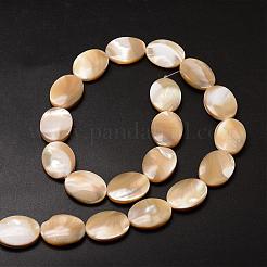 Natural Trochid Shell/Trochus Shell Beads Strands&nbsp;SSHEL-K008-03