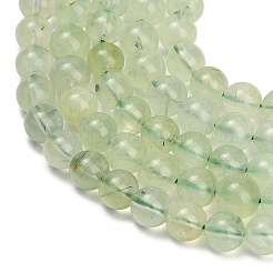 Natural Prehnite Beads Strands&nbsp;GG-CBA6F9F-8mm