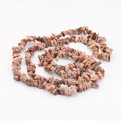 Natural Picture Jasper Chips Beads Strands&nbsp;F002