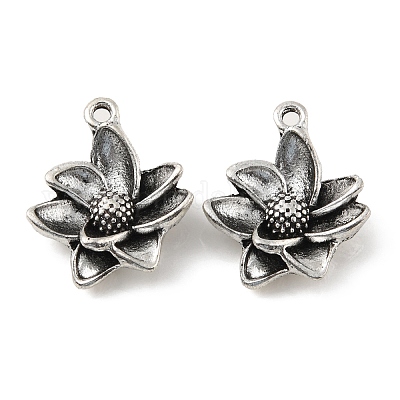 Alloy Pendants&nbsp;PALLOY-M211-02AS-1