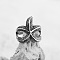 Adjustable Retro Alloy Cuff Rings for Men, Starfish, Adjustable