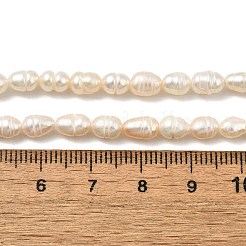 天然養殖淡水パールビーズ連売り  ライス  グレードA +  古いレース  4~4.5mm  穴：0.7mm  約54個/連  13.46''~13.78''（34.2~35センチメートル）&nbsp;PEAR-I007-01Q-01A
