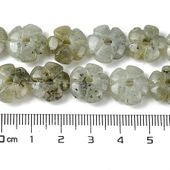 天然石ラブラドライトビーズ連売り  花  14x14x5.5mm  穴：1.2mm  約29個/連  14.80''（37.6センチメートル）&nbsp;G-H023-B19-01