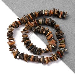 天然パウアシェルビーズ連売り  ナゲット  カラフル  9~14x4~7.5x1.5~5.5mm  穴：0.5mm  約139個/連  15.24''（38.7センチメートル）&nbsp;BSHE-B007-05
