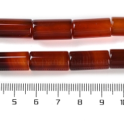 天然石赤瑪瑙ビーズ連売り  染め＆加熱  コラム  16.5~18x8.5~9mm  穴：1.8mm  約23個/連  15.87''（40.3センチメートル）&nbsp;G-NH0019-A03-02