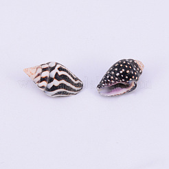 Natural Spril Shell Beads&nbsp;SSHEL-WH0001-22