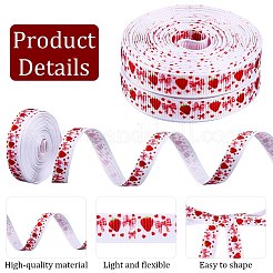 Polyester Ribbon&nbsp;OCOR-WH20061-002