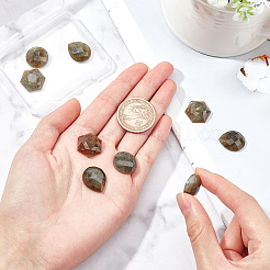 9Pcs 3 Style Natural Labradorite Cabochons&nbsp;G-FH0001-27