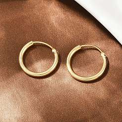 Brass Hoop Earrings&nbsp;EJEW-F378-02G