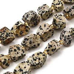 Raw Rough Natural Dalmatian Jasper Beads Strands&nbsp;G-Z087-A01