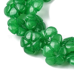 Dyed Natural Malaysia Jade Beads Strands&nbsp;G-H023-B18-01