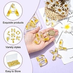 26Pcs 26 Styles Transparent Epoxy Resin Pendants&nbsp;CRES-YW0002-28L