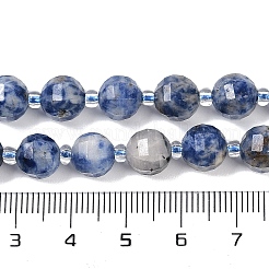 Natural Blue Spot Jasper Beads Strands&nbsp;G-G182-B31-03